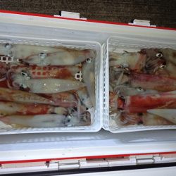 第二龍勢丸 釣果