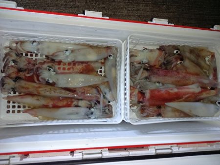 第二龍勢丸 釣果