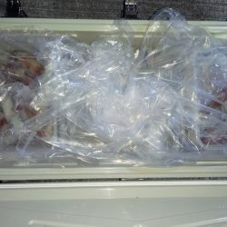 第二龍勢丸 釣果