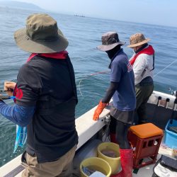 Ｖ−７ West 釣果