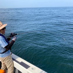 Ｖ−７ West 釣果