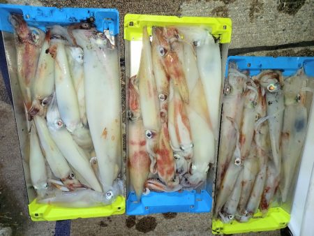 第二龍勢丸 釣果