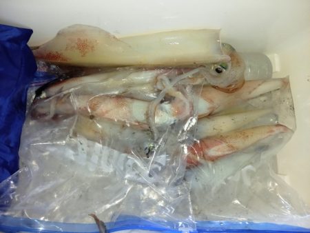 第二龍勢丸 釣果