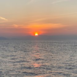 末広丸(熊本) 釣果