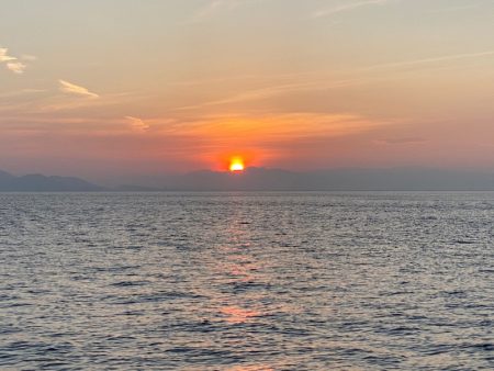 末広丸(熊本) 釣果