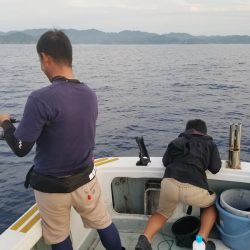 アマテラス 釣果