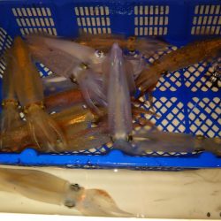 海龍丸（石川） 釣果