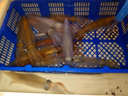 海龍丸（石川） 釣果