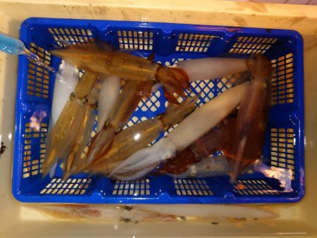 海龍丸（石川） 釣果