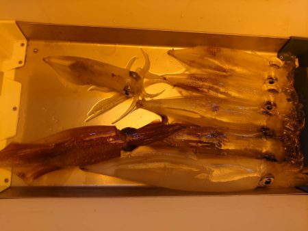 海龍丸（石川） 釣果