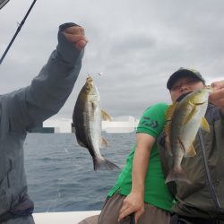 ソルトウォーターガイドフレンズ 釣果