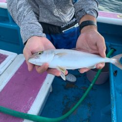 ぽん助丸 釣果
