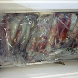 第二龍勢丸 釣果