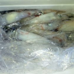 第二龍勢丸 釣果