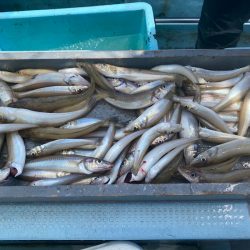 岡田釣船 八英丸 釣果