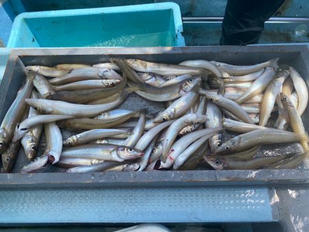 岡田釣船 八英丸 釣果