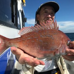 ランスルー 釣果