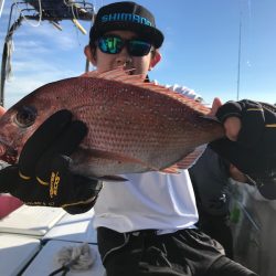 ランスルー 釣果