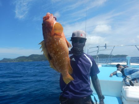 きずなまりん 釣果