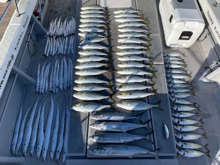 SeaRide(シーライド) 釣果