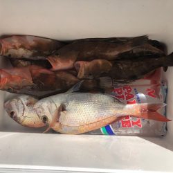 遊漁船高橋 釣果