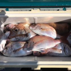 遊漁船高橋 釣果