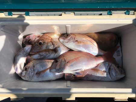 遊漁船高橋 釣果