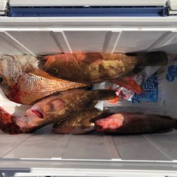 遊漁船高橋 釣果