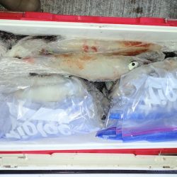 第二龍勢丸 釣果