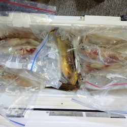 第二龍勢丸 釣果