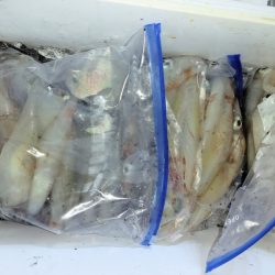 第二龍勢丸 釣果