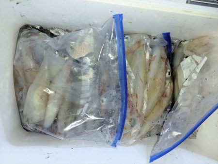 第二龍勢丸 釣果