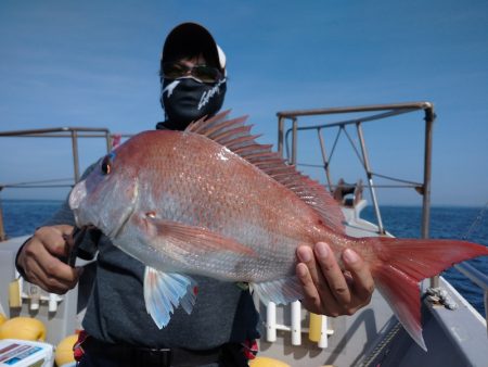 ありもと丸 釣果
