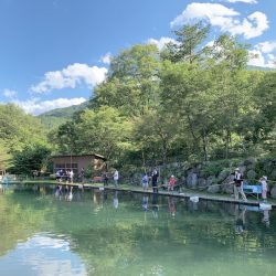 白州トラウトフィッシングエリア シルフ 釣果