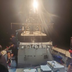 ソルトウォーターガイドフレンズ 釣果