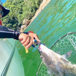 「LaGooN」蒼陽丸 日和号 釣果