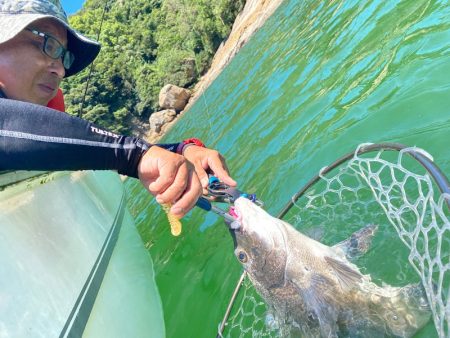 「LaGooN」蒼陽丸 日和号　 釣果