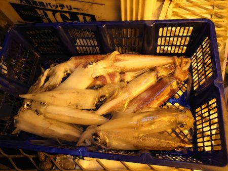 海龍丸（石川） 釣果