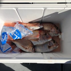 遊漁船高橋 釣果