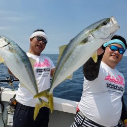 シーライオン 釣果