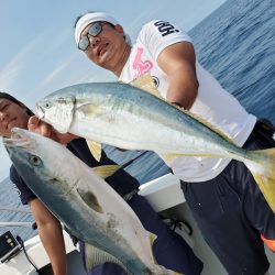 シーライオン 釣果