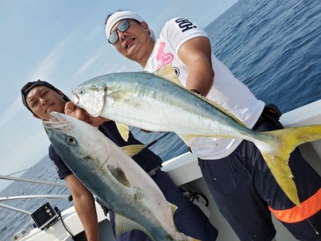 シーライオン 釣果