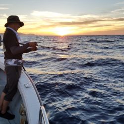 アマテラス 釣果