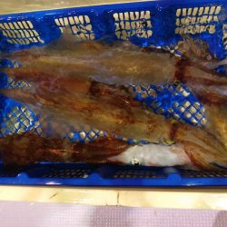 海龍丸（石川） 釣果