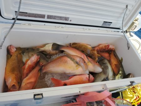 ソルトウォーターガイドフレンズ 釣果