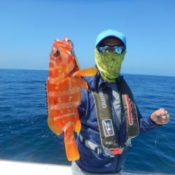 きずなまりん 釣果