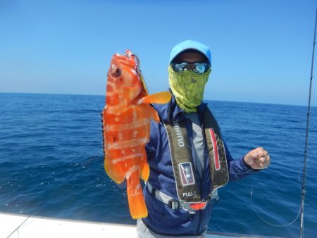 きずなまりん 釣果