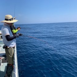 さくら丸 釣果