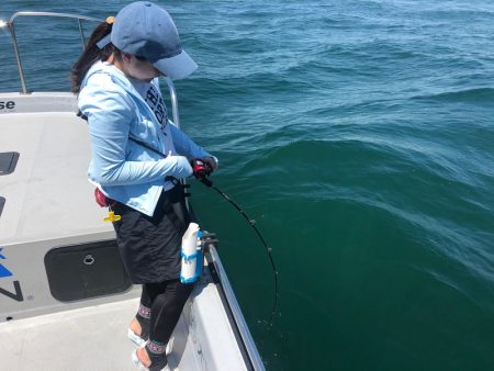 Chase(チェイス) 釣果