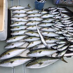 エムズジャーク(M’s JERK) 釣果